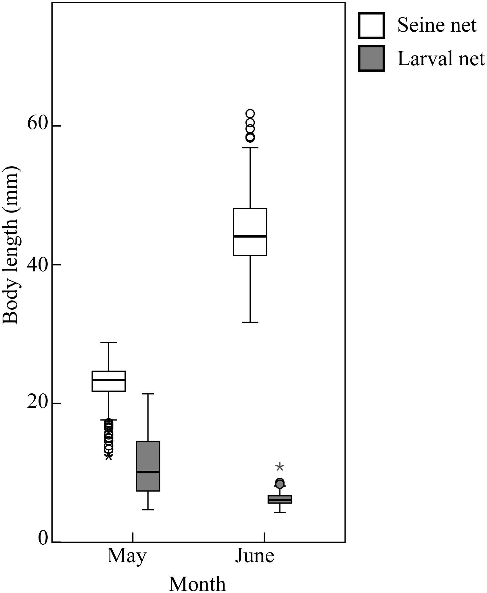 Box plot comparing body lengths in millimeters between May and June using two net types: seine (white) and larval (gray). In May, seine net captures average around 20 mm, while larval net captures are slightly lower. In June, the seine net captures significantly larger averages with varying outliers.