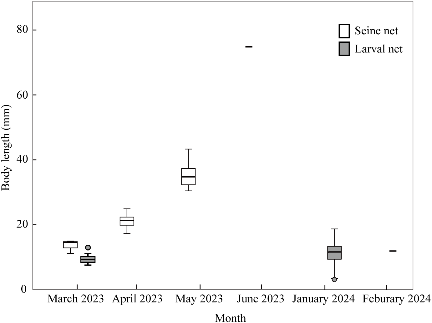 Box plot showing body lengths of specimens collected from March 2023 to February 2024 using seine nets and larval nets. The body length in millimeters is on the y-axis. March to June 2023 uses seine nets, with length increasing from about 10 mm to 40 mm, while January and February 2024 use larval nets, showing lower lengths around 20 mm.