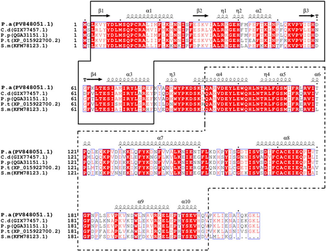 Protein sequence alignment diagram showing sequences labeled PaGSTt1 for species c.d., p.p., p.t., and s.m. Identical residues are highlighted in red. The diagram includes alpha helices (α1 to α10) and beta strands (β1 to β3), with precise labeling for protein secondary structures.