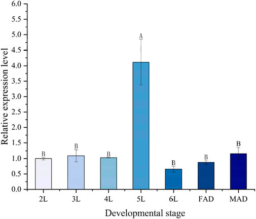Bar chart showing relative expression levels at different developmental stages labeled 2L, 3L, 4L, 5L, 6L, FAD, and MAD. Stage 5L has the highest expression level, marked