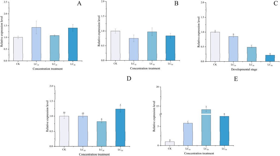 Five bar graphs (A to E) showing relative expression levels under various conditions. Graphs A, B, D, and E depict concentration treatments CK, LC₁₀, LC₃₀, and LC₅₀. Graph C represents developmental stages. Varying bar heights indicate expression changes, with graphs labeled A to E for differentiation. Error bars indicate variability.