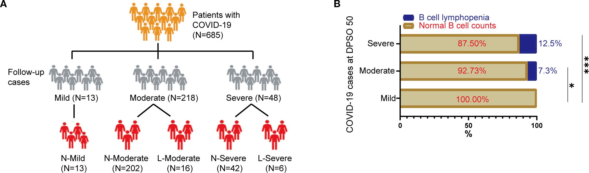 Diagram A shows a flowchart of 685 COVID-19 patients categorized into mild (13), moderate (218), and severe (48) cases, with follow-up groups illustrated. Diagram B presents a bar graph depicting COVID-19 cases at DPSO 50, with percentages for normal B cell counts and B cell lymphopenia in severe (87.5% normal, 12.5% lymphopenia), moderate (92.73% normal, 7.3% lymphopenia), and mild (100% normal) cases. Statistical significance is indicated by asterisks.