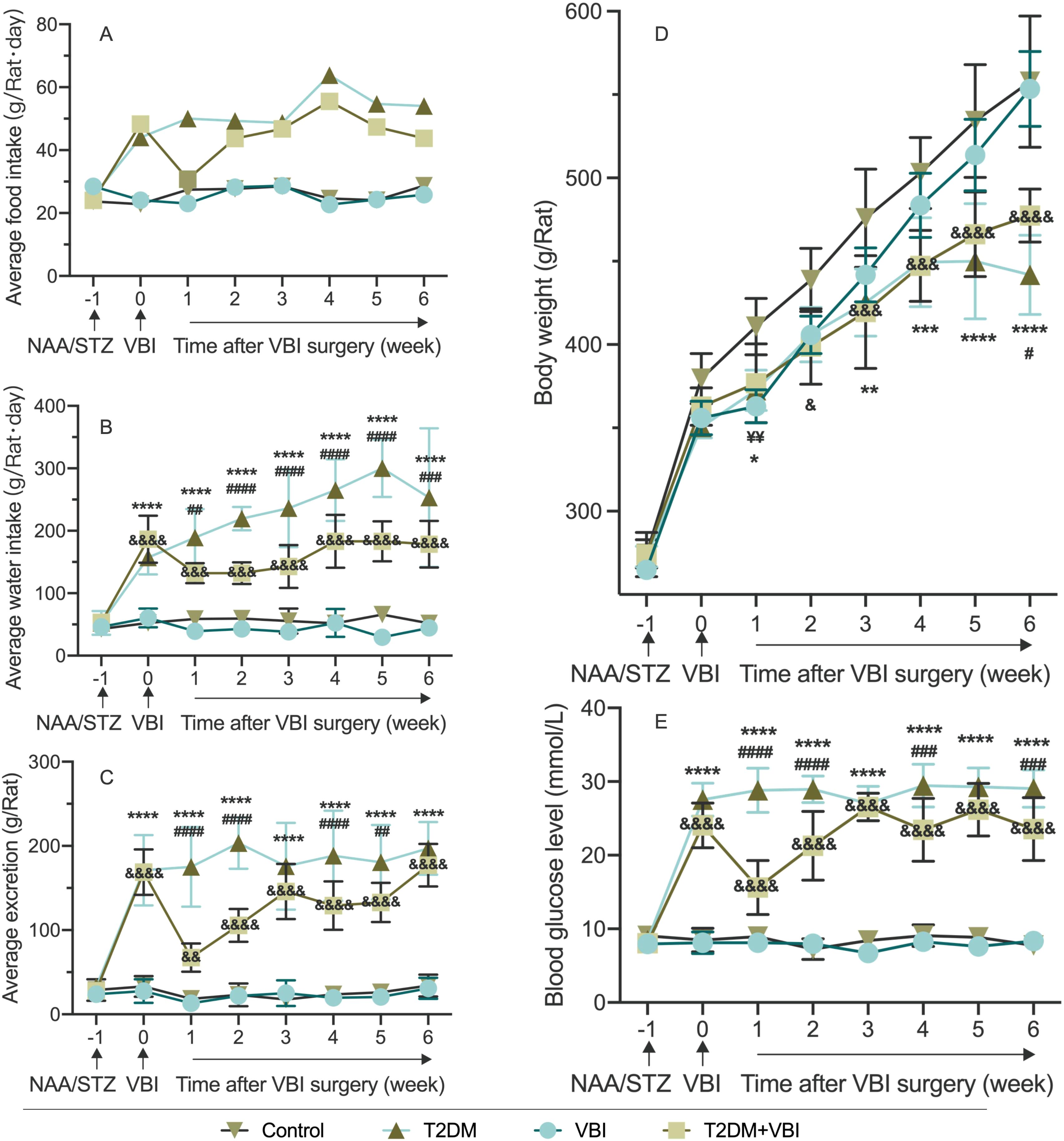 Line graphs display measurements over weeks in rats after VBI surgery. Graph A shows average food intake, B shows water intake, C shows excretion, D shows body weight, and E shows blood glucose levels. Groups include Control, T2DM, VBI, and T2DM+VBI, with symbols indicating statistical significance.