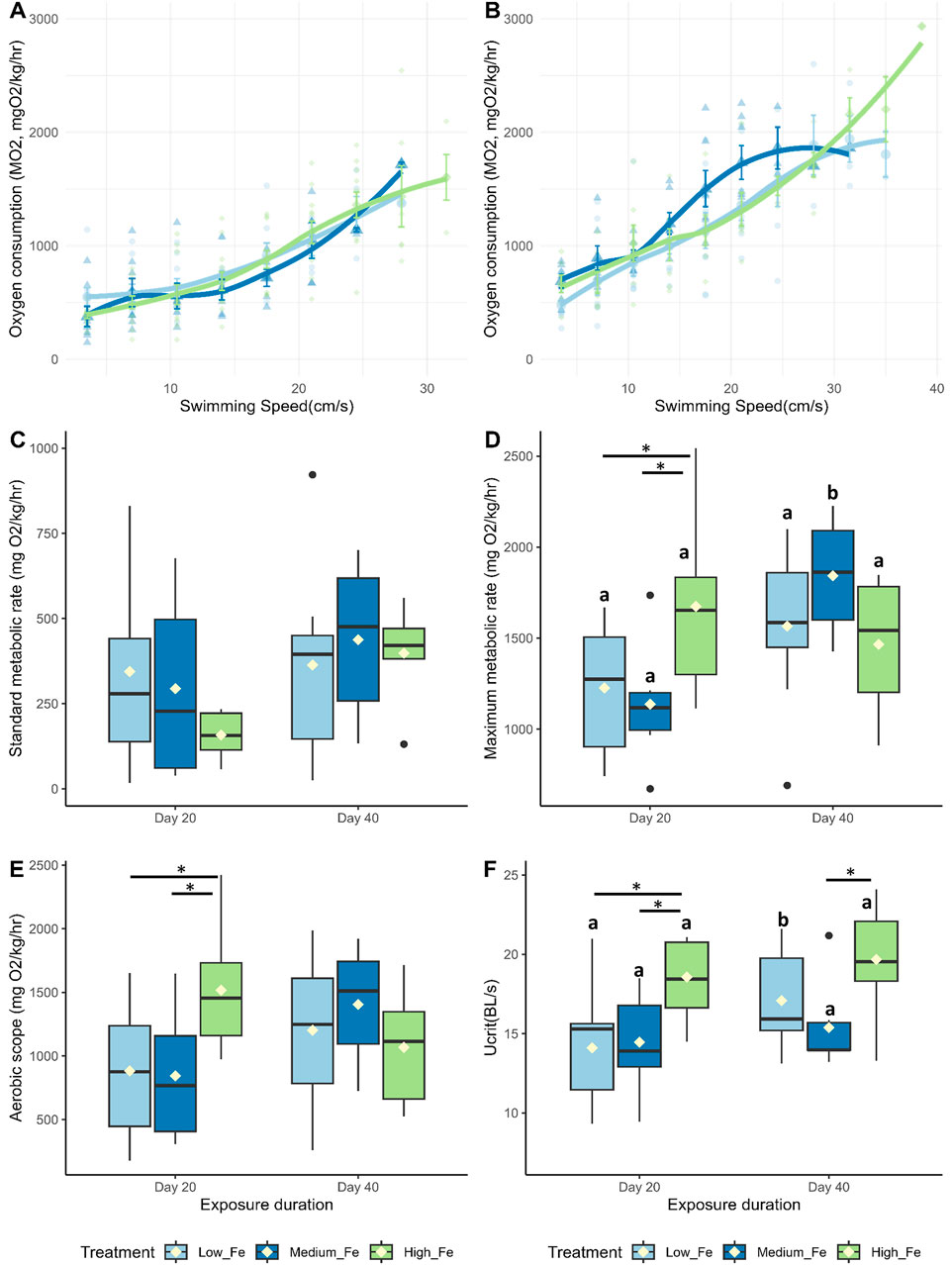 Graphs show the effects of iron levels and exposure duration on fish metabolism and swimming speed. Panels A and B depict oxygen consumption against swimming speed, with lines for low, medium, and high iron treatments. Panels C and D show box plots of standard and maximum metabolic rates after 20 and 40 days, respectively. Panels E and F illustrate aerobic scope and critical swimming speed (Ucrit) for different treatments and durations. Significant differences are marked with letters and asterisks.