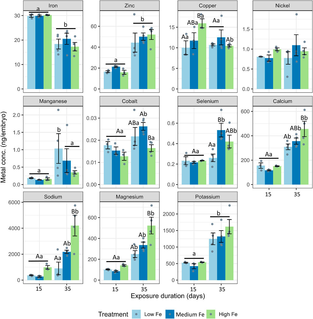 Multiple bar charts show the concentration of various metals (iron, zinc, copper, nickel, manganese, cobalt, selenium, calcium, sodium, magnesium, and potassium) in ng per embryo, measured over exposure durations of fifteen and thirty-five days. Different treatments (low, medium, and high iron) are represented by light blue, blue, and green bars, respectively. Statistical significance is indicated by letters above the bars.