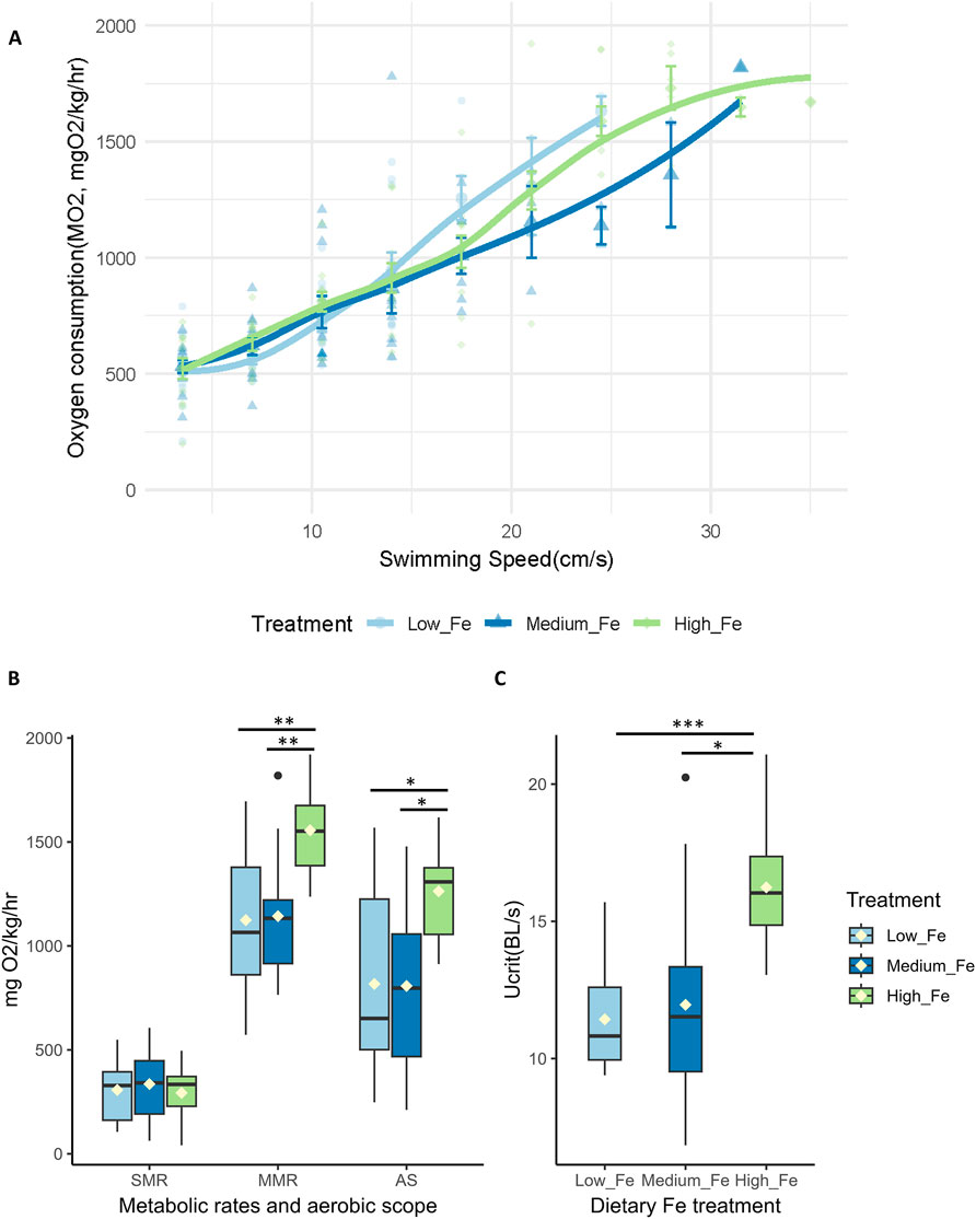 Graph A shows a positive correlation between swimming speed (cm/s) and oxygen consumption (mgO2/kg/hr) across low, medium, and high iron treatments. Graph B features box plots comparing standard metabolic rates (SMR), maximum metabolic rates (MMR), and aerobic scope (AS) for different treatments, with significant differences marked by asterisks. Graph C displays box plots of critical swimming speed (Ucrit) across dietary iron treatments, also highlighting significant differences. Color coding distinguishes between treatments.