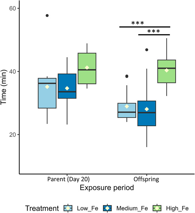Box plot comparing time to fatigue in minutes for parent and offspring groups under low, medium, and high iron (Fe) treatments. Offspring group exhibit significant difference between high and low/medium Fe treatments. Statistical significance is indicated with triple asterisks.