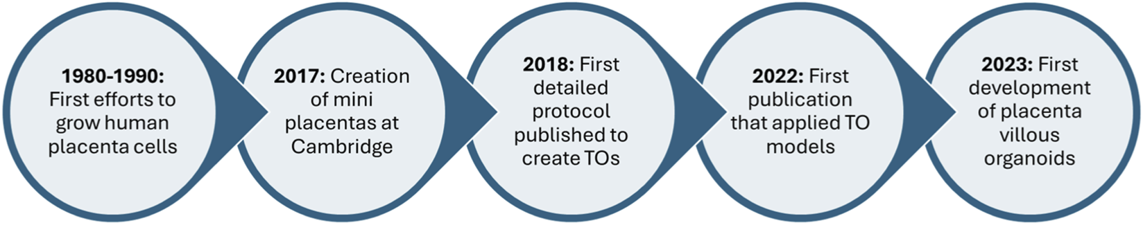 Timeline graphic showing milestones in placental research: 1980-1990, efforts to grow human placenta cells; 2017, creation of mini placentas at Cambridge; 2018, publication of protocol for trophoblast organoids; 2022, publication applying trophoblast organoid models; 2023, development of placenta villous organoids.