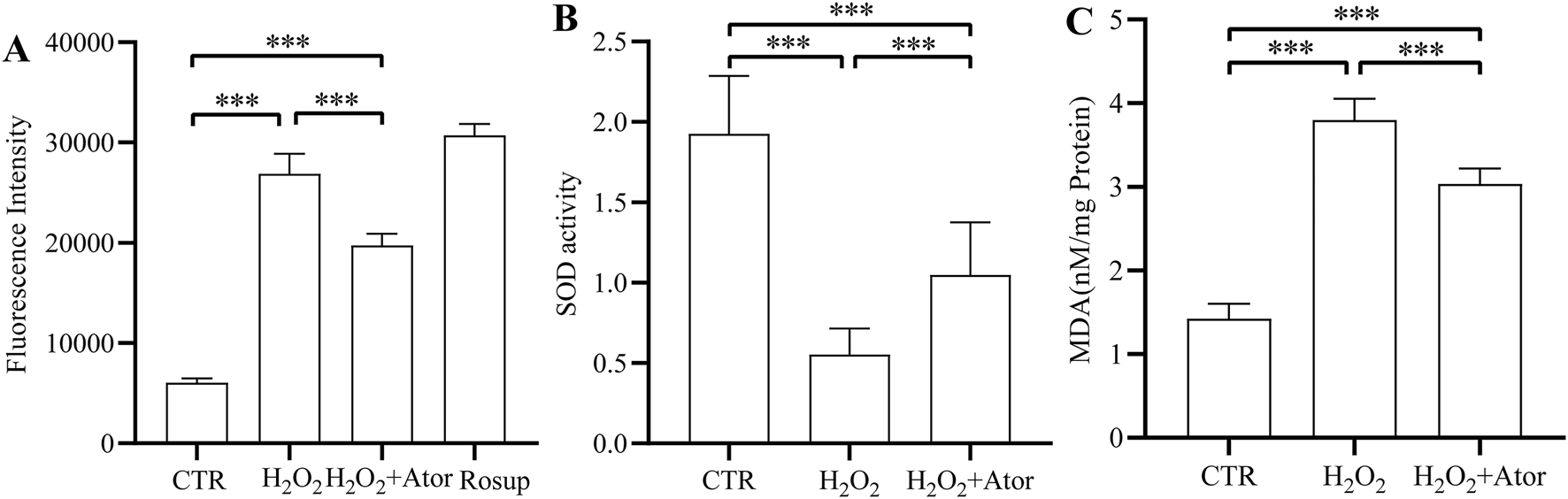 Bar graphs labeled A, B, and C compare different treatments: CTR, H₂O₂, H₂O₂ plus Ator, and Rosup. Graph A shows fluorescence intensity, graph B shows SOD activity, and graph C shows MDA levels. Significant differences are indicated with asterisks.