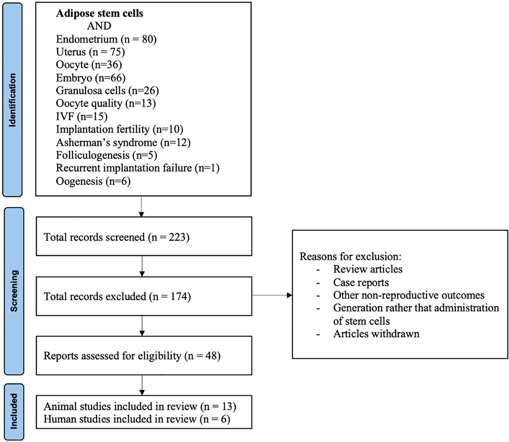 Flowchart depicting the selection process for a review of studies on adipose stem cells. Starting from 223 records identified with various criteria such as endometrium (n=80), uterus (n=75), and more. After screening, 174 records are excluded for reasons like review articles and case reports. Forty-eight reports are assessed for eligibility, resulting in the inclusion of thirteen animal and six human studies.