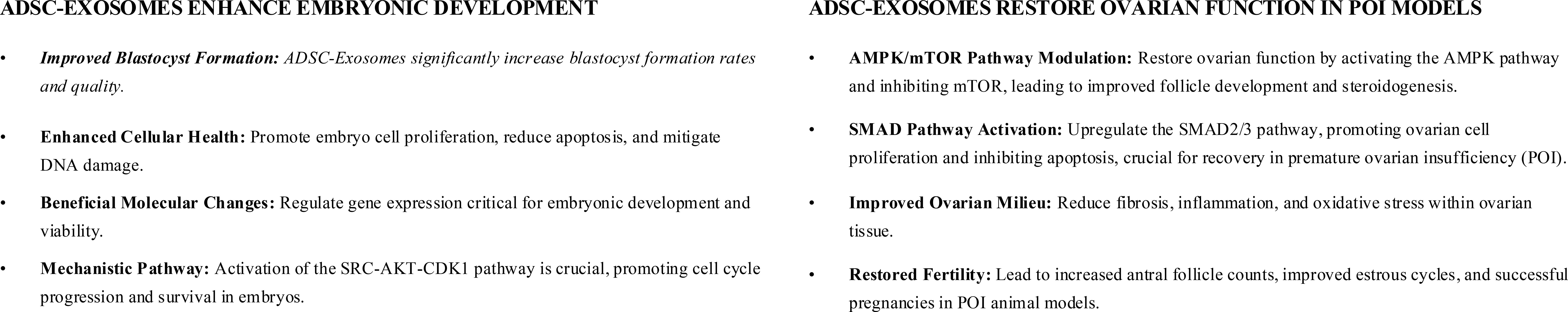 ADSC-Exosomes enhance embryonic development by improving blastocyst formation, enhancing cellular health, inducing beneficial molecular changes, and activating the SRC-AKT-CDK1 pathway. They also restore ovarian function in POI models through AMPK/mTOR pathway modulation, SMAD pathway activation, improved ovarian milieu, and restored fertility.