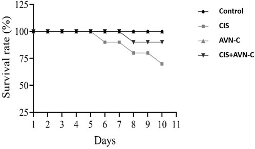 Line graph showing survival rate percentages against days for four groups: Control, CIS, AVN-C, and CIS+AVN-C. The Control group maintains a 100% survival rate. CIS and AVN-C groups show a decline after day six, with CIS+AVN-C following a similar pattern but with a slightly higher survival rate than CIS alone.