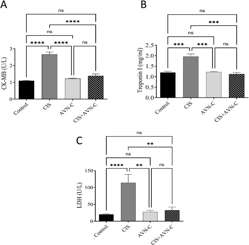 Bar graphs labeled A, B, and C compare the levels of CK-MB, Troponin I, and LDH among four groups: Control, CIS, AVN-C, and CIS+AVN-C. Significant differences are indicated with asterisks, representing varying levels of significance (****, ***, **).