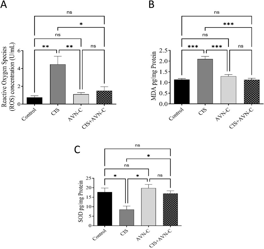 Bar graphs illustrating biochemical measurements across four groups: Control, CIS, AVN-C, and CIS+AVN-C. A. Reactive Oxygen Species (ROS) concentration shows significant increases in CIS compared to Control and CIS+AVN-C.B. Malondialdehyde (MDA) levels are significantly higher in CIS versus Control and AVN-C.C. Superoxide Dismutase (SOD) shows reduced levels in CIS compared to Control and enhanced levels in AVN-C and CIS+AVN-C. Statistical significance is indicated by asterisks.