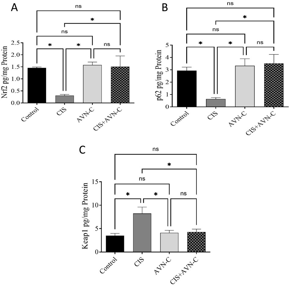 Bar graphs labeled A, B, and C showing protein levels in different treatment groups: Control, CIS, AVN-C, CIS+AVN-C. Each graph displays mean values with standard error bars, significance indicated by asterisks (* for p<0.05) and “ns” for not significant. Graph A compares Nrf2 levels, B compares p62 levels, and C compares Keap1 levels across treatments.