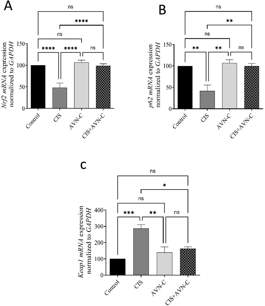 Bar charts labeled A, B, and C show mRNA expression levels normalized to GAPDH. Chart A shows Nrf2 expression across four groups: Control, CIS, AVN-C, and CIS+AVN-C, with statistical significance denoted by asterisks. Chart B shows p62 expression, and Chart C shows Keap1 expression, both using the same group labels and significance indicators. Significant differences are marked with asterisks, while non-significant differences are marked