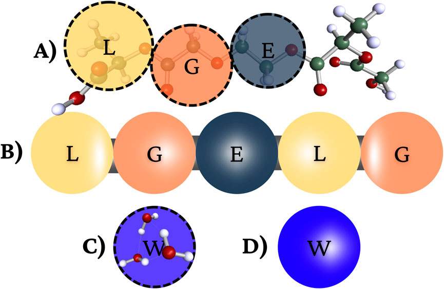Graphic showing molecular and schematic models. A) Molecular representations labeled L, G, and E with different colored spheres. B) Simplified schematic with large labeled circles L, G, E. C) Molecular structure labeled W in purple. D) Blue circle labeled W.
