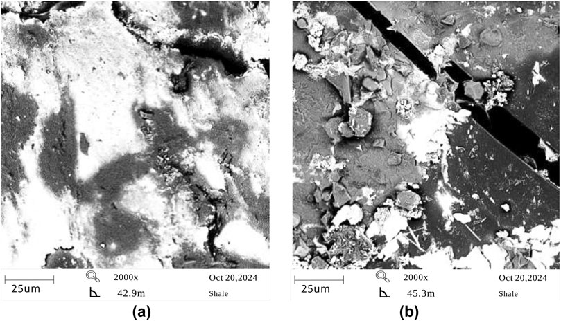 Scanning electron microscope images showing shale surface at 2000x magnification. Image (a) shows a smoother texture with fewer fractures, while image (b) shows a rougher surface with more debris and visible cracks. Both images were captured on October 20, 2024, with a scale of 25 micrometers.