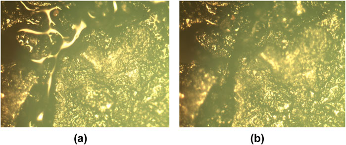 Two microscopic images labeled (a) and (b) show a close-up view of a material's surface. Image (a) features distinct, bright linear patterns, while image (b) appears more uniform with less defined structures. Both images display variations in texture and color, indicating differences in surface composition.