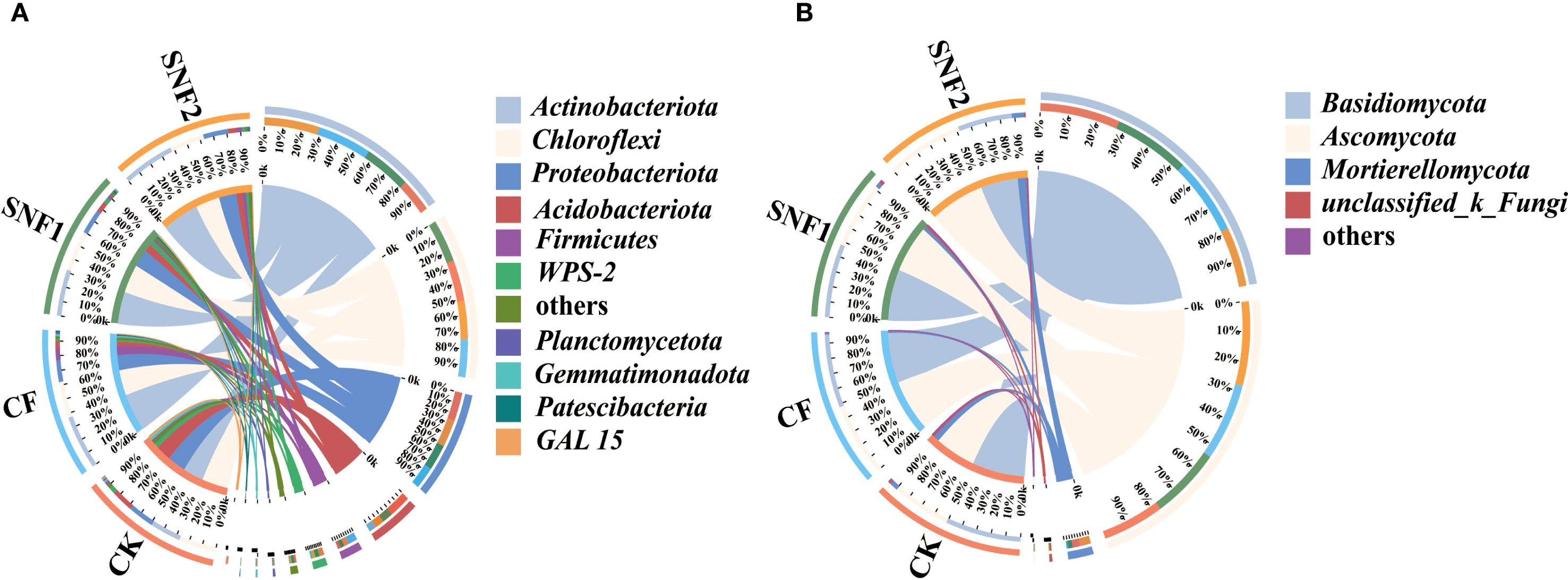 Circular diagrams labeled A and B, depicting microbial and fungal communities across three environments: SNF1, SNF2, CF, and CK. Diagram A shows bacterial groups like Actinobacteriota and Chloroflexi, while Diagram B displays fungal groups like Basidiomycota and Ascomycota. Color-coded segments and connecting arcs represent distribution and relationships.