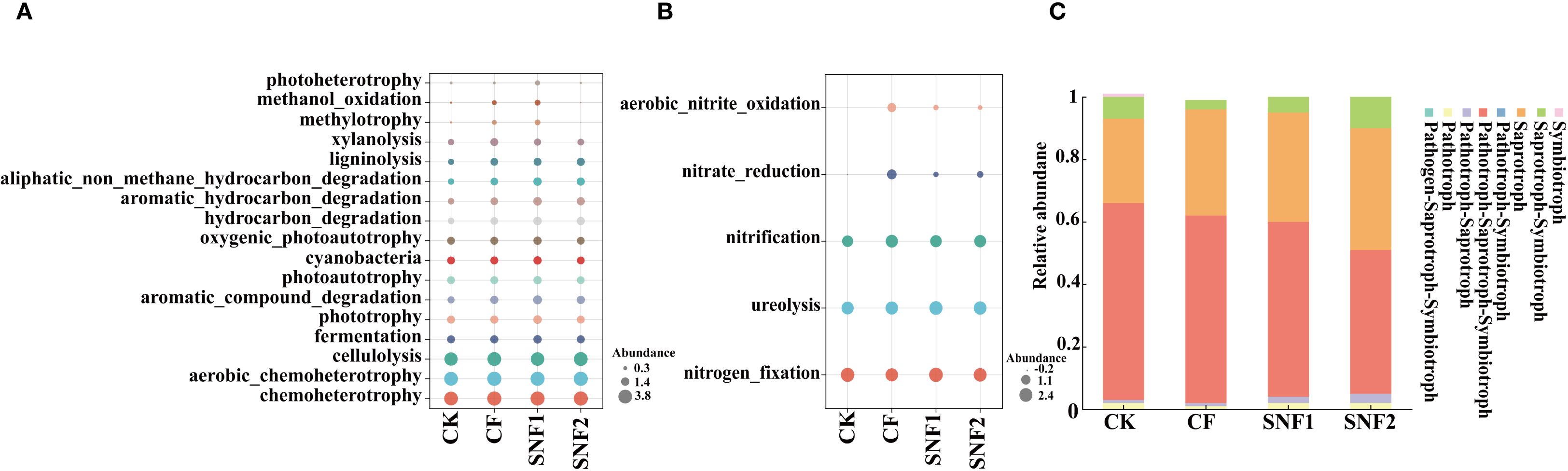 Three-part figure showing microbial functions and abundance. Part A displays a bubble chart comparing microbial degradation processes across treatments CK, CF, SNF1, and SNF2. Part B shows another bubble chart for nitrogen-related processes. Part C presents a stacked bar graph of relative abundance for different microbial groups across the same treatments, with color-coded legends for each group.