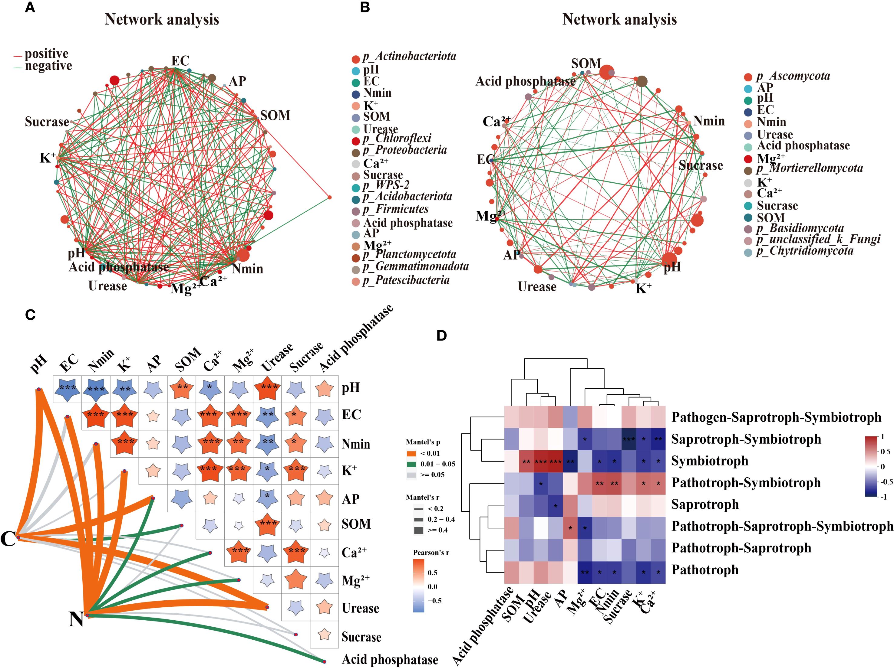Network analysis diagrams and heatmaps explore relationships among soil properties and microbial communities. Panels A and B display complex networks with nodes representing variables like pH, enzymes, and microbial taxa, connected by lines indicating positive or negative interactions. Panel C features a correlation matrix with star shapes in varying colors indicating statistical significance and correlation strength between factors like pH, nutrient levels, and enzyme activity. Panel D presents a clustered heatmap showcasing relationships among different microbial interactions, with color gradients representing correlation values and significance levels.