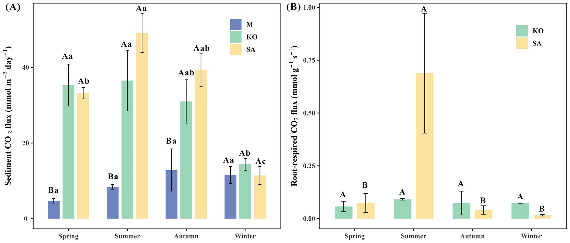 Bar charts depicting CO2 fluxes. Chart A shows sediment CO2 flux by season and treatment, with higher values in SA (yellow) during summer. Chart B illustrates root-respired CO2 flux, peaking in SA (yellow) during summer. Error bars indicate variability. Legends specify treatments: M (blue), KO (green), SA (yellow).