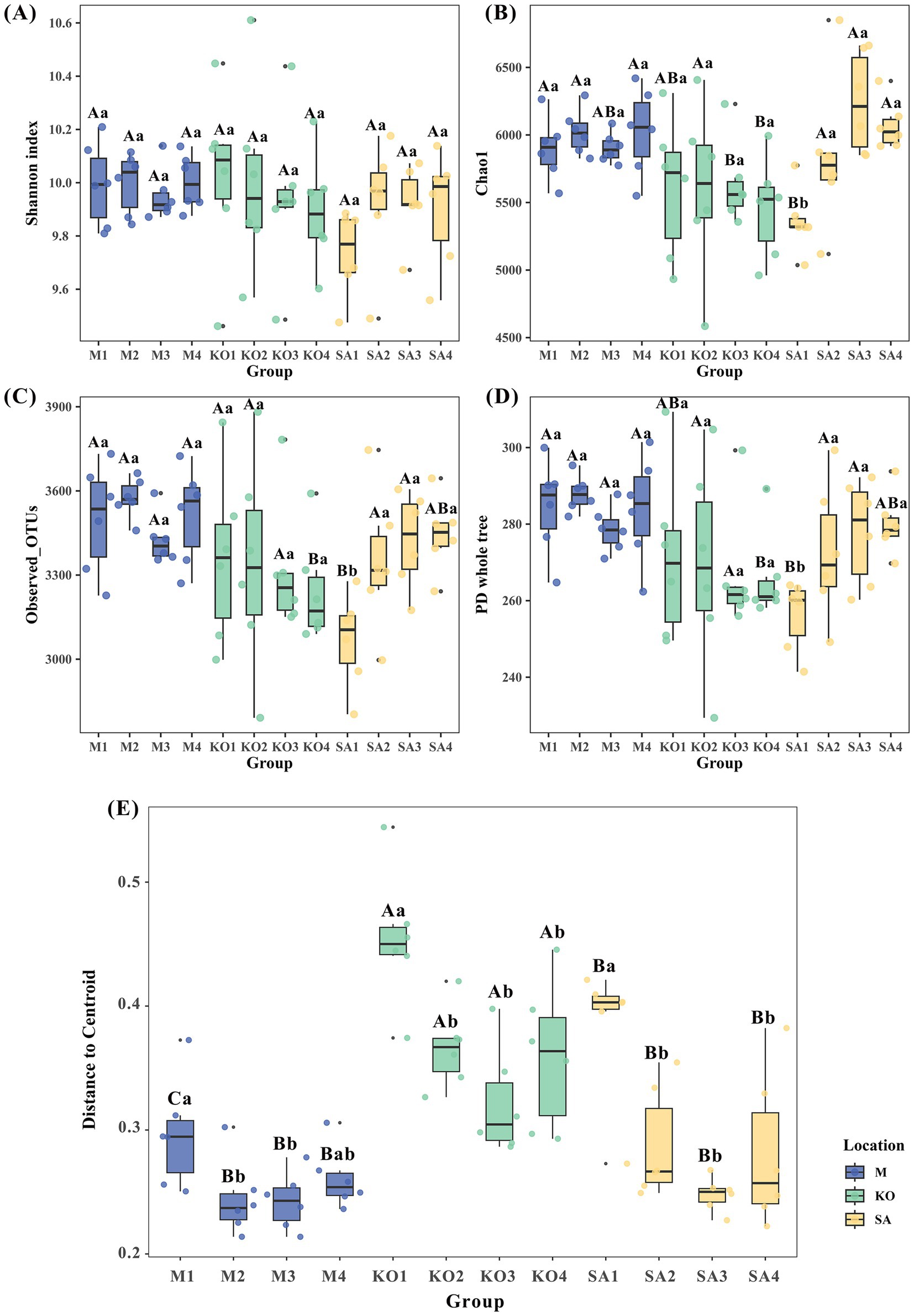 Box plots illustrating diversity metrics across different groups (M, KO, SA). (A) Shannon index, (B) Chao1, (C) Observed OTUs, (D) PD whole tree, and (E) Distance to Centroid are compared. Significant differences are noted by letters above the box plots. Each group represents a location with varying color codes: blue for M, green for KO, and yellow for SA. Data points are scattered around the plots reflecting variability within each metric.