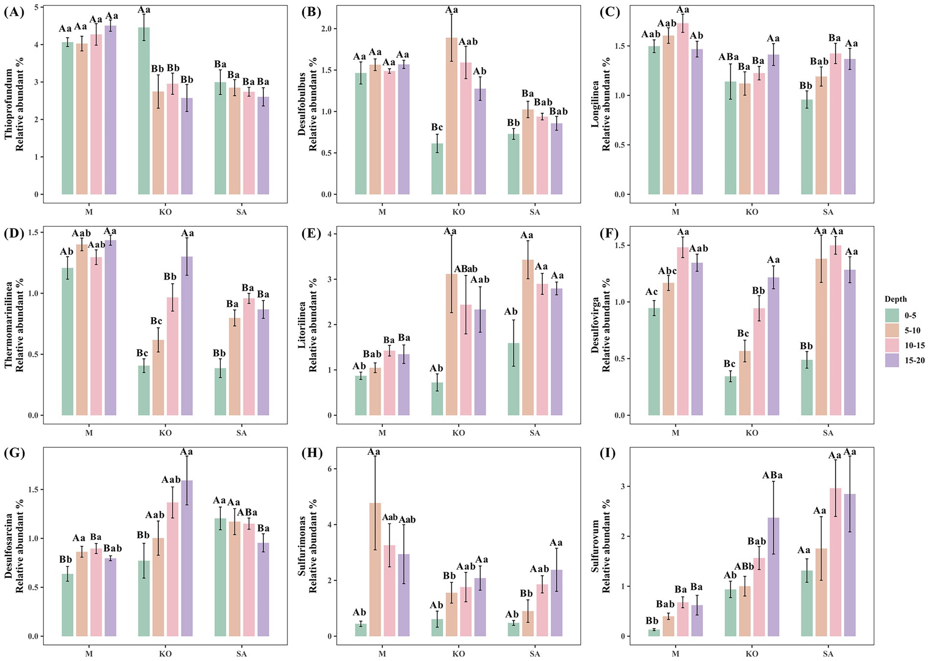 Nine bar graphs labeled A to I display the relative abundance percentages of different bacterial genera at various depths. Each graph compares measurements across three groups: M, KO, and SA. Depths are color-coded: green for 0-5 cm, orange for 5-10 cm, pink for 10-15 cm, and purple for 15-20 cm. Error bars are included for each bar. Statistical annotations, such as Aa and Bb, are marked above the bars indicating significant differences.