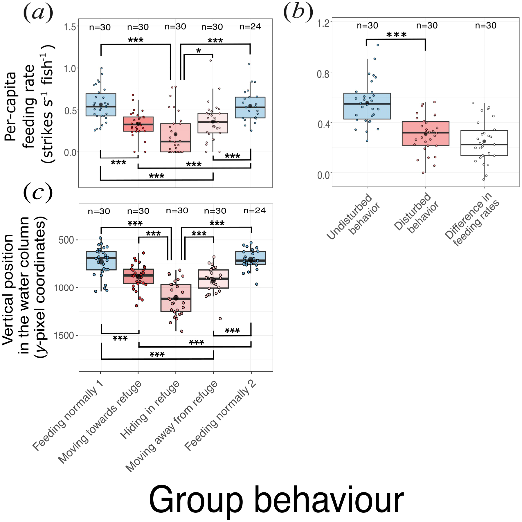 Three boxplot panels labeled (a) to (c). Panel (a) shows per-capita feeding rate for each of the five group behaviour phases, with significant differences indicated. Panel (b) shows per-capita feeding rate for undisturbed and disturbed group behaviour phases, highlighting a significant difference between them. Panel (c) shows vertical position in the water column (y-pixel coordinates) for each of the five group behaviour phases, with significant differences indicated.