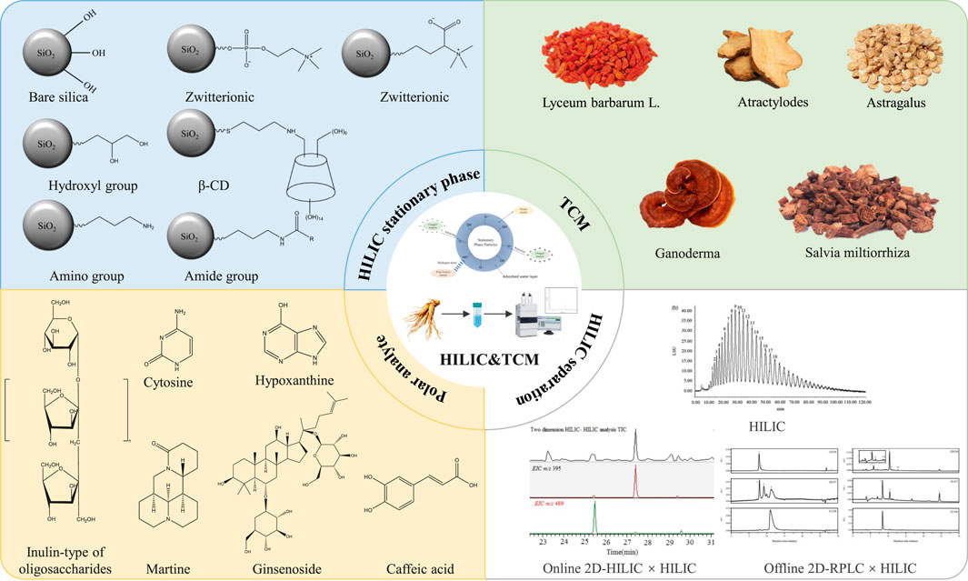 Diagram illustrating HILIC stationary phases with various chemical structures, including silica variations, amino, and amide groups. Displays traditional Chinese medicine (TCM) ingredients like Lycium barbarum and Ganoderma. Polar analytes such as cytosine, hypoxanthine, and ginsenoside are shown. Includes chromatography graphs and experimental setup for HILIC and TCM integration.