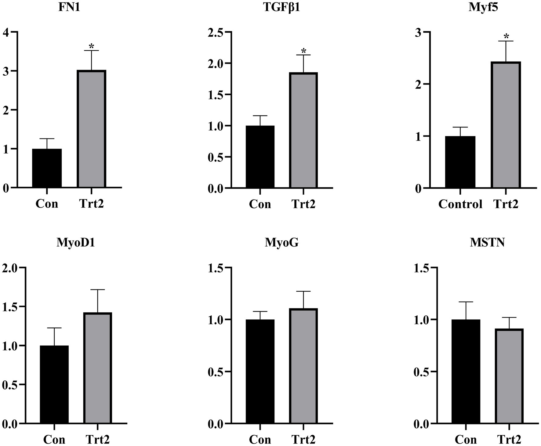Six bar graphs display the expression levels of FN1, TGFβ1, Myf5, MyoD1, MyoG, and MSTN. Each graph compares control (Con) with treatment (Trt2). FN1, TGFβ1, and Myf5 show significant increases in Trt2 compared to Con, marked by asterisks. MyoD1, MyoG, and MSTN show no significant change. Error bars indicate standard deviation.