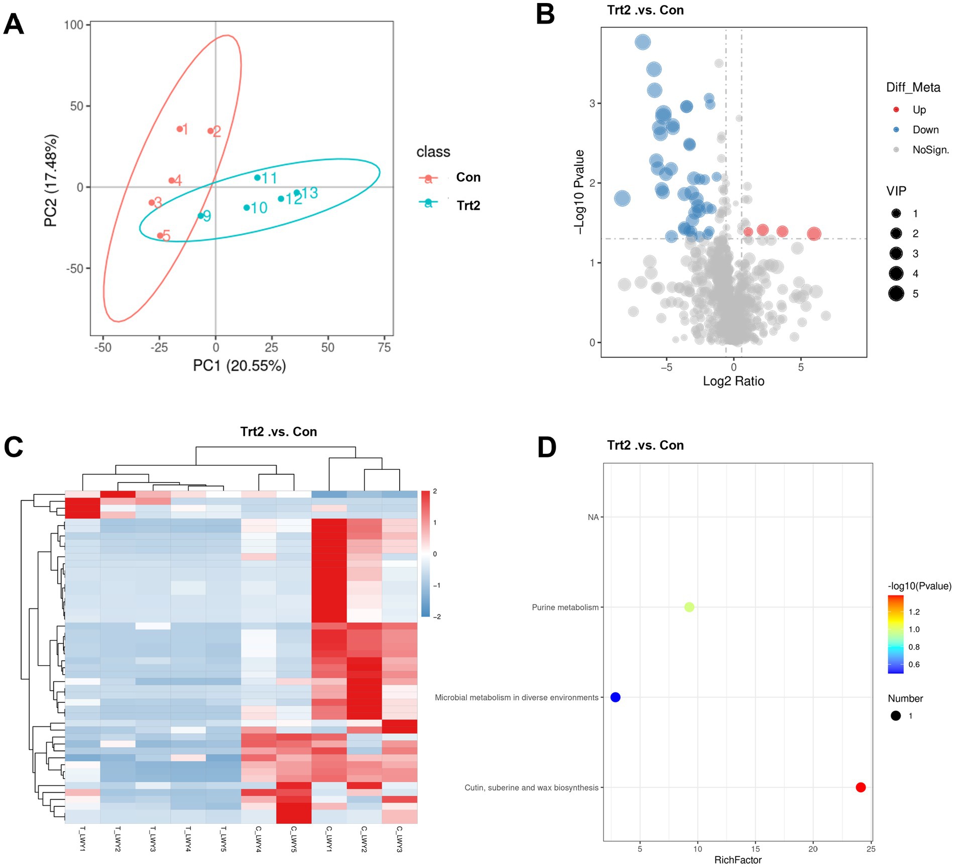 A set of four graphics comparing control (Con) and treatment group (Trt2) data. Panel A is a PCA plot showing clustering of samples, with Con in red and Trt2 in blue. Panel B is a volcano plot displaying differentially expressed metabolites, highlighting upregulated (blue) and downregulated (red) entities by log2 ratio and -log10 p-value. Panel C is a heatmap of differentially expressed genes with hierarchical clustering, indicating expression levels across samples. Panel D is a scatter plot of pathway enrichment analysis, showing pathways based on RichFactor and -log10(p-value), with dot size indicating the number of genes involved.