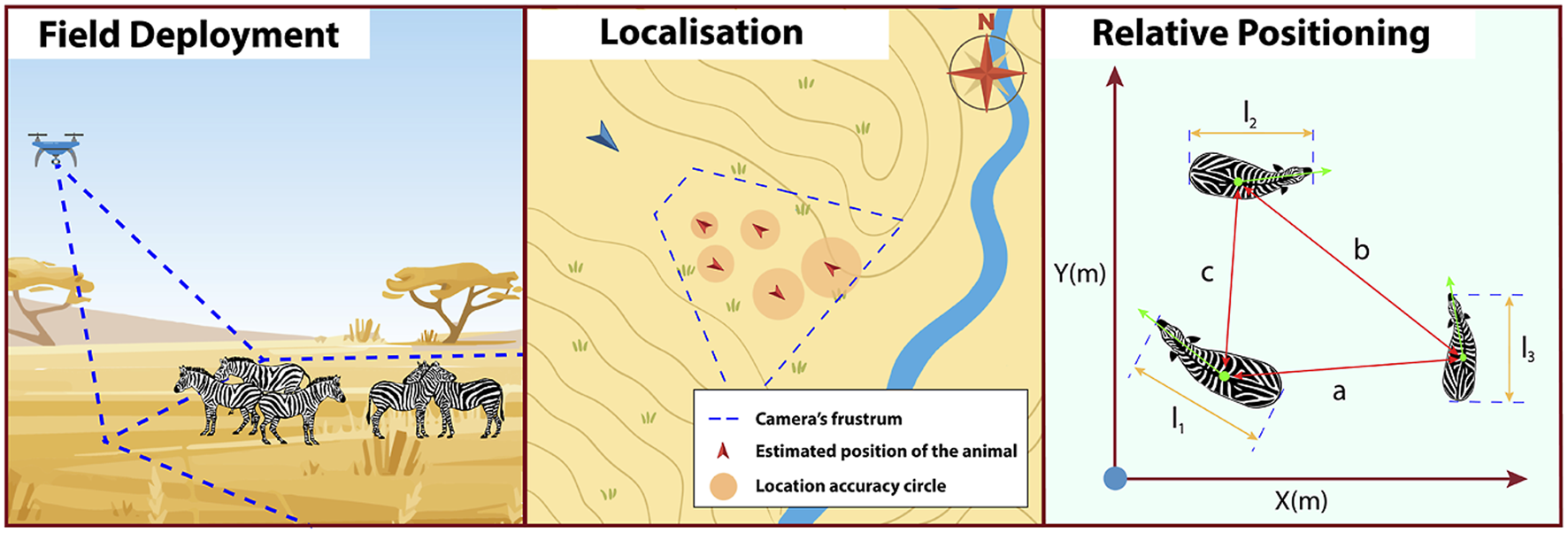 Illustration showing three panels. The first panel, "Field Deployment," depicts a drone above zebras, outlining its camera's frustum with dashed lines. The second panel, "Localisation," shows a topographical map with the camera's frustum, estimated positions of animals marked with red triangles, and accuracy circles. The third panel, "Relative Positioning," presents a diagram with zebras as points in a coordinate system labeled X and Y, displaying distances a, b, and c among them, with corresponding lines I1, I2, and I3 indicating measurements.