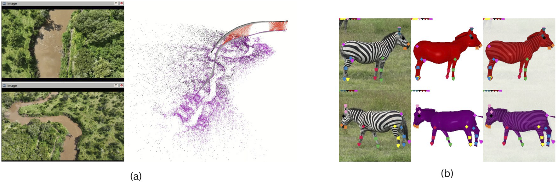 Panel (a) shows aerial images of a river meandering through dense greenery from different drone perspectives along with a combined 3D reconstruction. Panel (b) features zebra images with colored corresponding abstract models in red and purple with skeletal pose markings in all three columns, illustrating 3D pose recognition and 3D shape recovery.