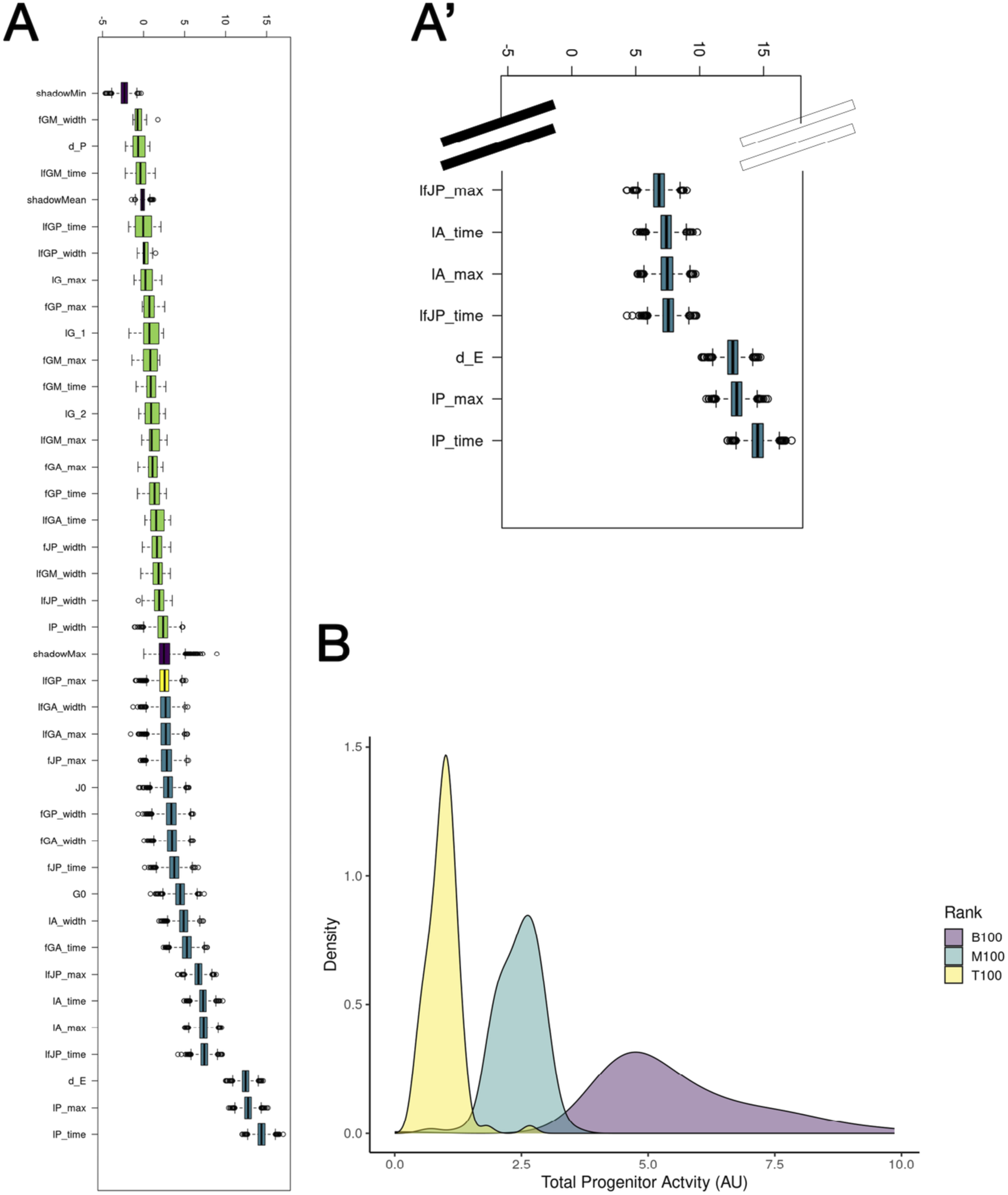 Box plots and density plot visualizing data distribution. Panel A features multiple box plots labeled with various metrics; Panel A' highlights seven key metrics. Panel B displays a density plot of total progenitor activity across three ranks: B100, M100, T100, differentiated by color.
