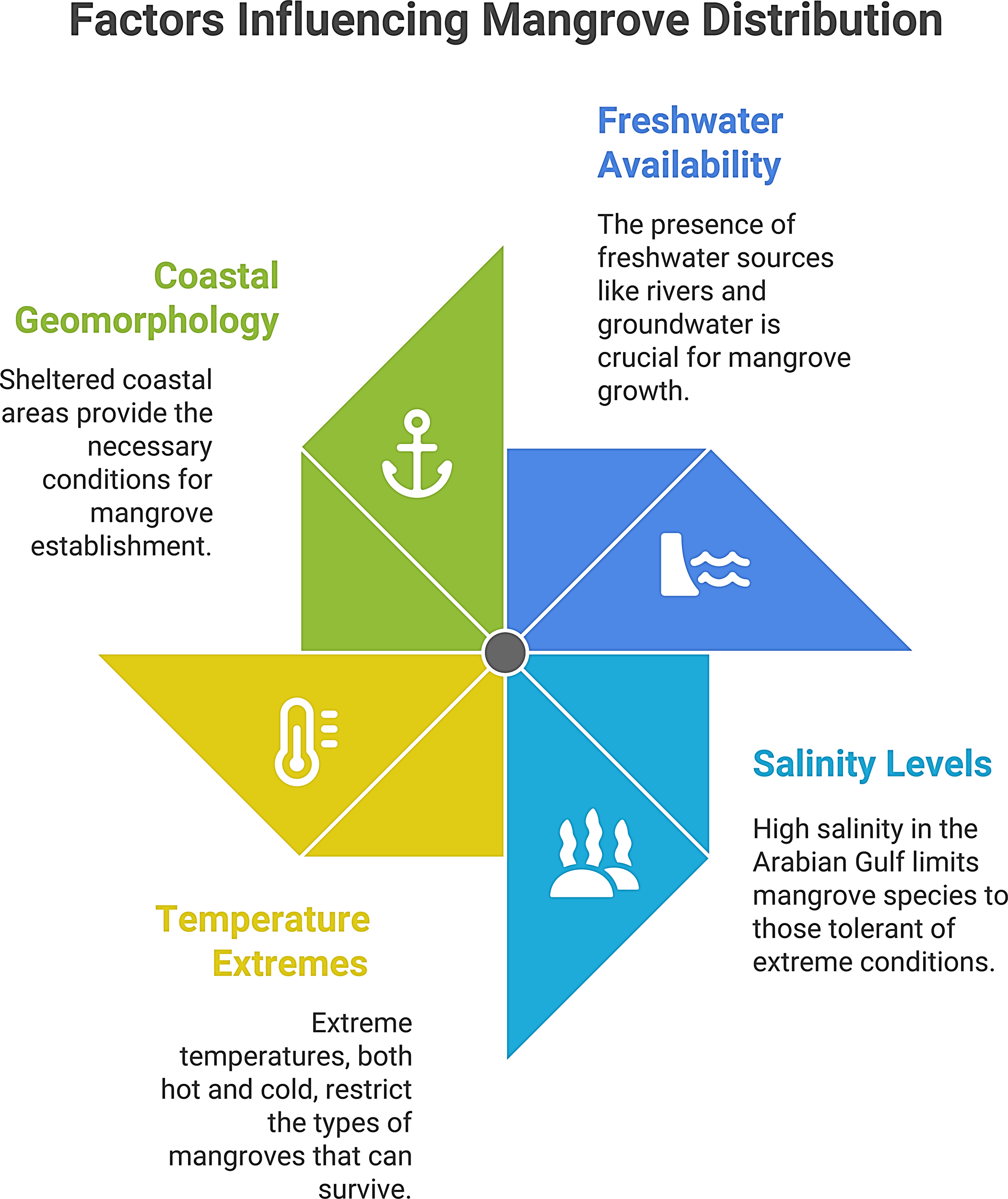 Diagram titled “Factors Influencing Mangrove Distribution” with four sections: Coastal Geomorphology, highlighted in green with anchor icon, notes sheltered areas aid mangrove establishment. Freshwater Availability, in blue with water icon, stresses freshwater sources' importance. Salinity Levels, also blue with salinity icon, mentions high salinity tolerance. Temperature Extremes, in yellow with thermometer icon, highlights impact of extreme temperatures.