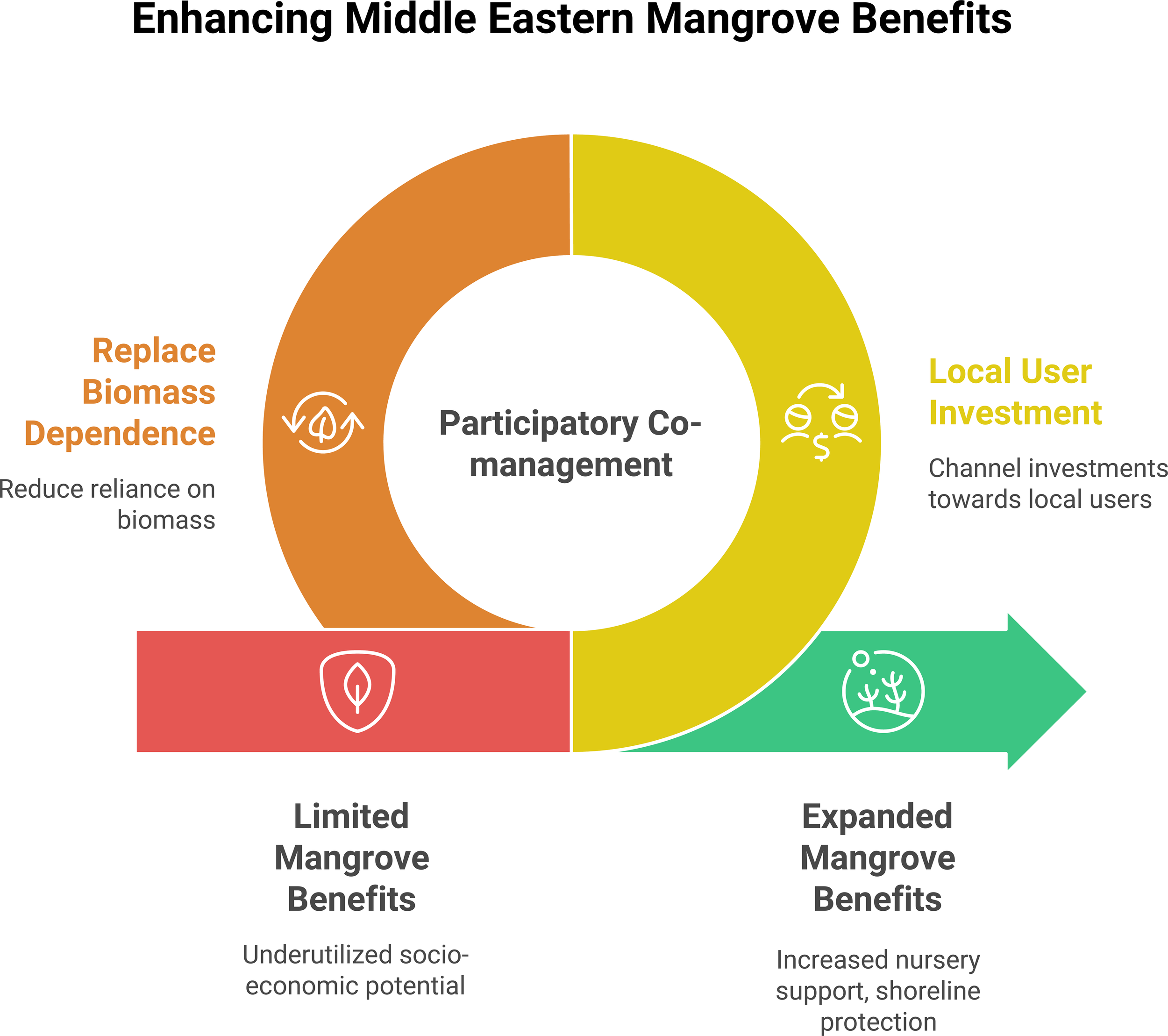 Circular infographic titled “Enhancing Middle Eastern Mangrove Benefits” with sections labeled “Replace Biomass Dependence,” “Local User Investment,” and “Participatory Co-management.” Arrow leads to “Expanded Mangrove Benefits,” indicating increased nursery support and shoreline protection. “Limited Mangrove Benefits” notes underutilized socio-economic potential. Sections emphasize reducing reliance on biomass and channeling investments towards local users.