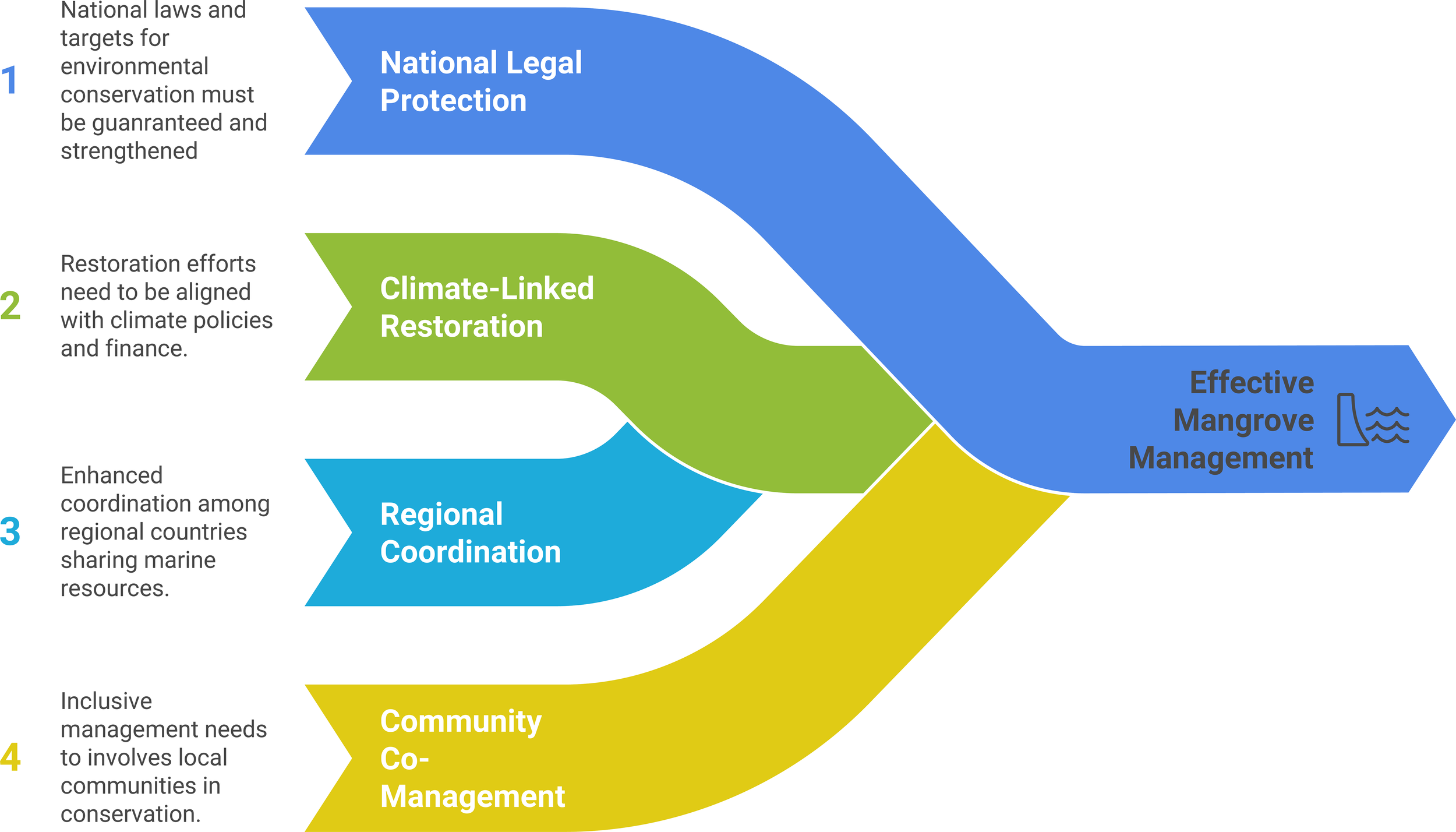 Flowchart illustrating steps for effective mangrove management. Steps: 1. National Legal Protection to strengthen environmental laws. 2. Climate-Linked Restoration aligning efforts with climate policies. 3. Regional Coordination among countries. 4. Community Co-Management involving local communities.