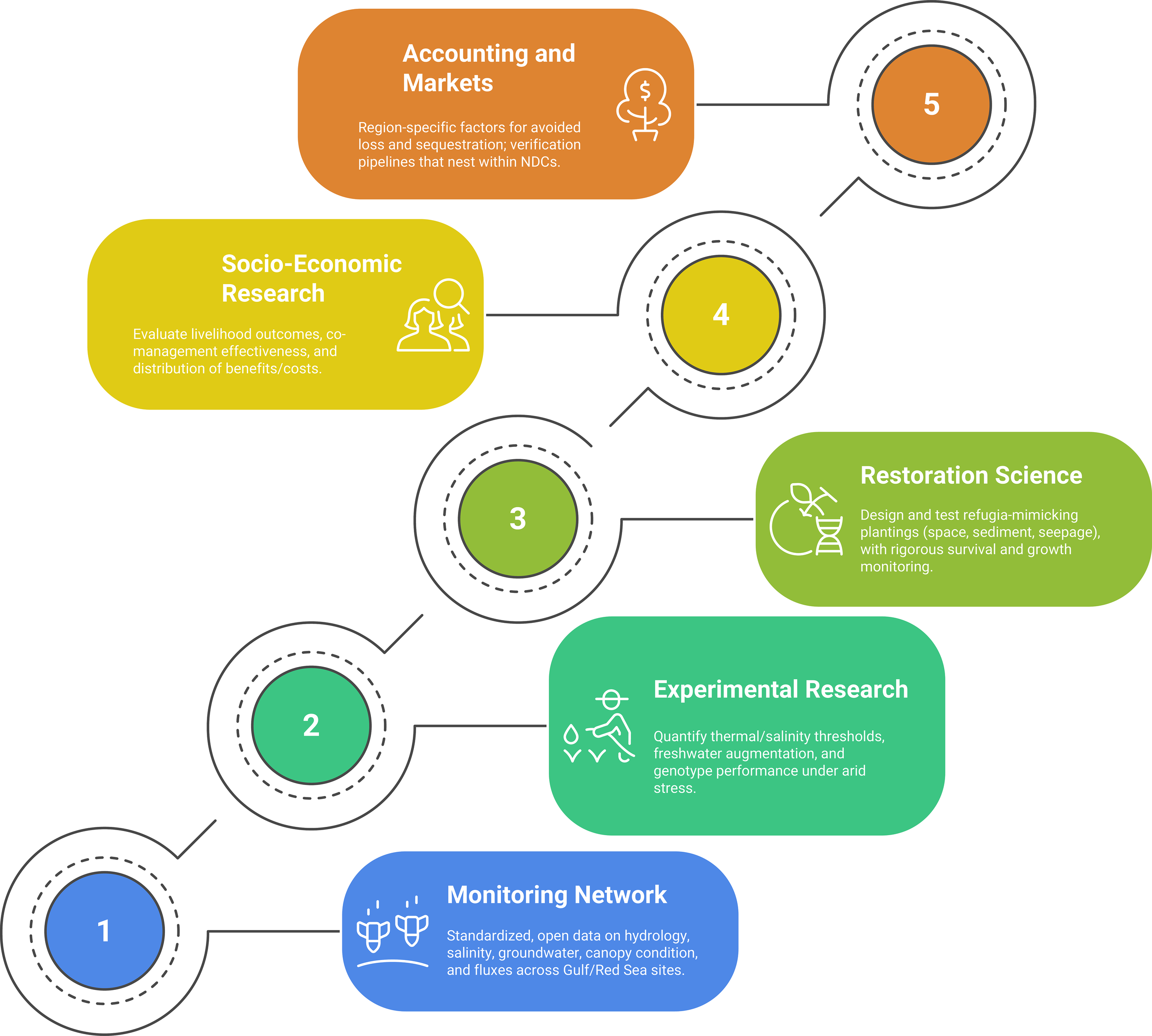 Flowchart showing a five-step process. Step 1: “Monitoring Network” focuses on open data for hydrology and salinity. Step 2: “Experimental Research” addresses thermal/salinity thresholds and genotype performance. Step 3: “Restoration Science” involves testing plantings for survival and growth. Step 4: “Socio-Economic Research” evaluates livelihood outcomes and benefit distribution. Step 5: “Accounting and Markets” considers region-specific factors for loss avoidance and sequestration. Each step is color-coded with connected circles.