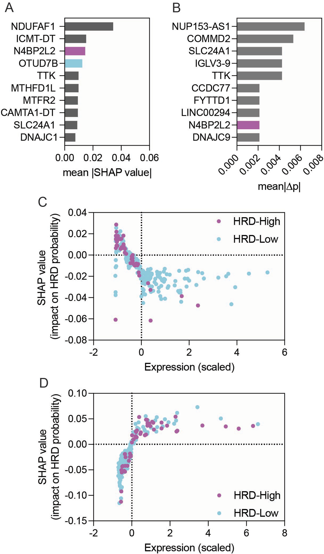 Bar charts and scatter plots analyze the impact of gene expression on HRD probability using SHAP values. Panels A and B display mean SHAP values and mean absolute change, respectively. Panel C shows a scatter plot with colored data points representing HRD-High and HRD-Low groups in terms of SHAP value against scaled expression. Panel D provides a similar scatter plot with a different clustering pattern.