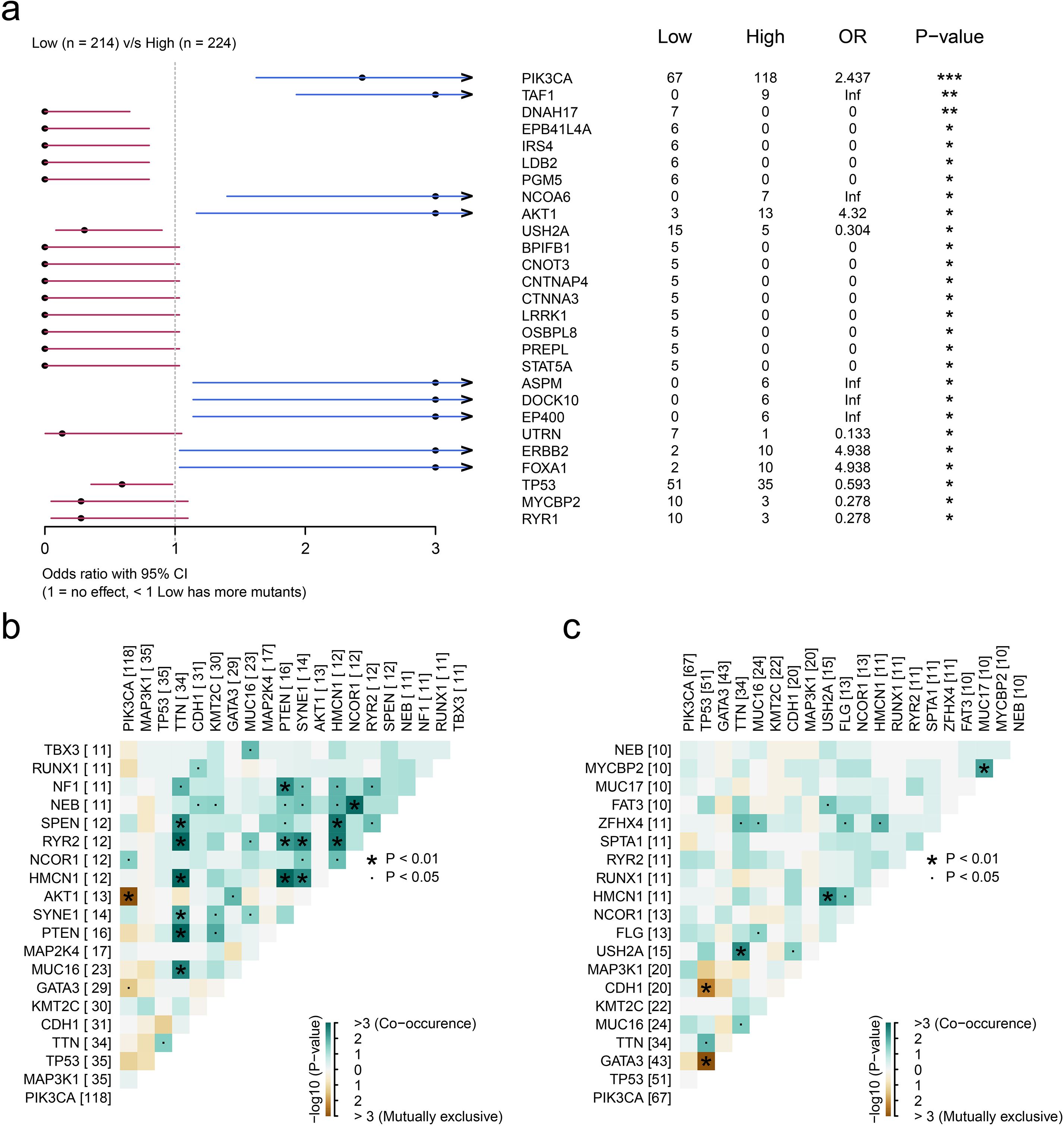 Graph showing genomic analysis with three panels: (a) Forest plot comparing mutation frequencies in low (214 samples) versus high (224 samples) groups. Odds ratios with 95% confidence intervals are displayed. Genes like PIK3CA and TP53 show significant differences. (b) and (c) Heatmaps illustrating co-occurrence and mutual exclusivity of gene mutations across samples. Color intensity indicates the significance of interactions and mutual exclusivity, with darker shades and asterisks highlighting statistical significance (P < 0.01 and P < 0.05).