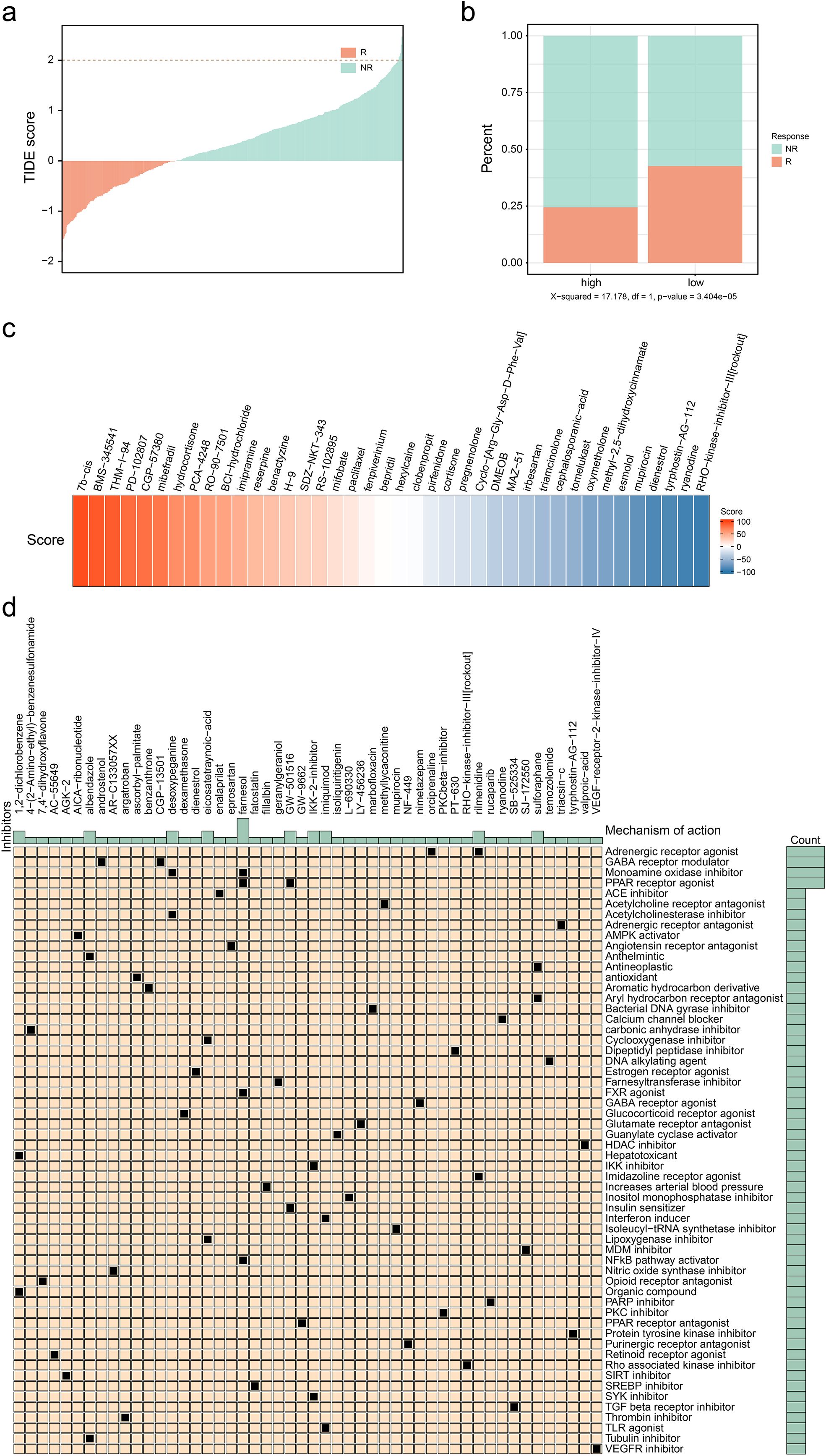 Panel a shows a stacked plot of TIDE scores, with red indicating response (R) and teal indicating non-response (NR). Panel b is a bar graph showing high and low response percentages, with red for NR and teal for R. Panel c displays a heatmap of drug scores, ranging from red (high score) to blue (low score). Panel d is a detailed heatmap showing drug mechanisms of action. Each panel highlights various response data through different visualizations.