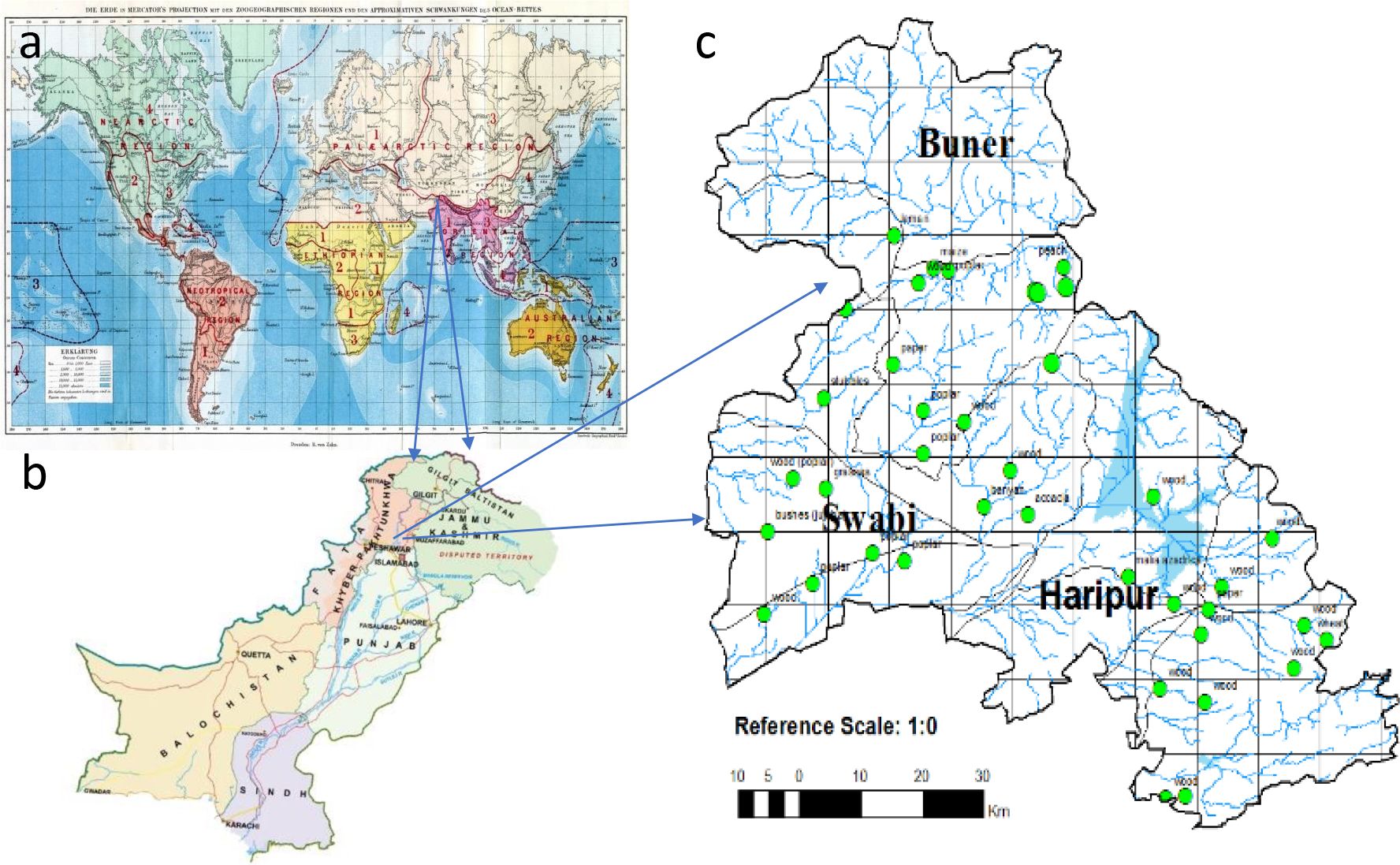 Map collage showing three panels. Panel (a) displays a world map with continents labeled and overlaid with red lines. Panel (b) shows a map of Pakistan with provincial and territorial borders, including labels like Punjab and Balochistan. Panel (c) is a detailed map of regions labeled Buner, Swabi, and Haripur, marked with green dots, overlaid with blue lines indicating water bodies. Blue arrows connect maps (b) and (c) to the world map in (a). The reference scale is 1:0 in kilometers.