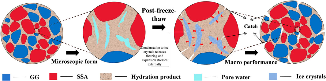 Diagram showing the effects of freezing and thawing on material structure. Two sections illustrate microscopic and post-freeze-thaw forms. The left shows GG and SSA in red and blue. The right depicts hydration products, pore water, and ice crystals with condensation effects labeled. Annotations indicate stress and structural changes. A legend identifies elements by color.