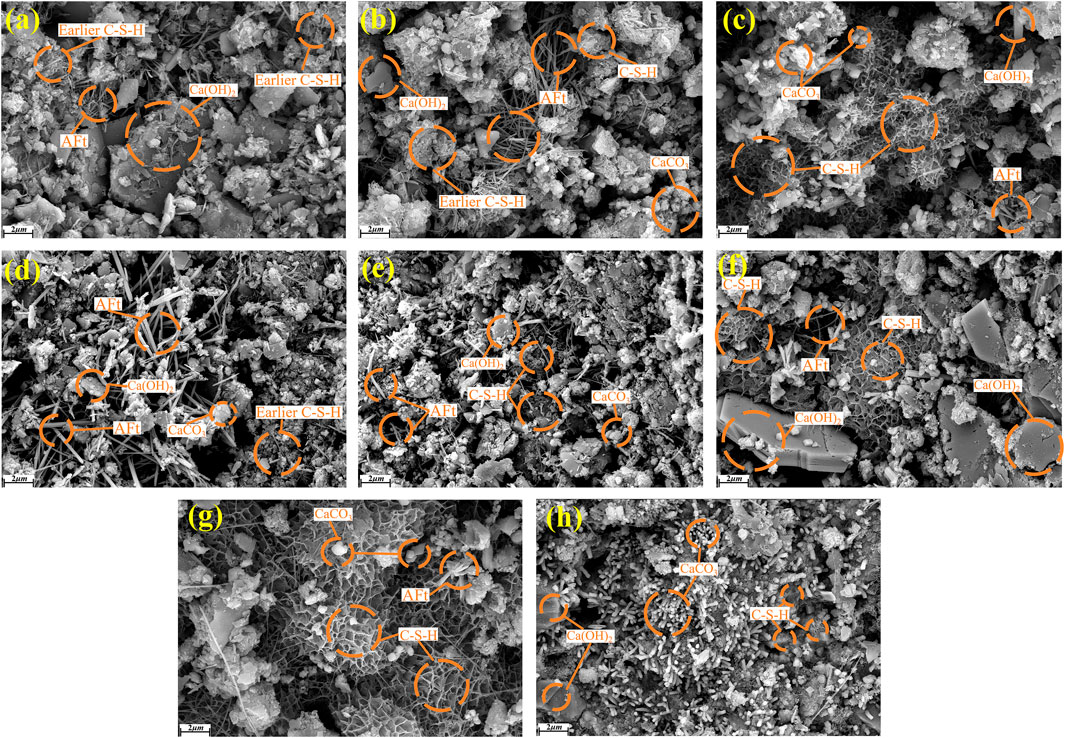 Scanning electron micrographs displaying different phases of hydrated cement paste with annotations. Images labeled (a) through (h) showcase various components such as C-S-H, AFt, Ca(OH)₂, and CaCO₃. Each panel highlights specific features using orange circles and labels, providing detailed observation of microstructural elements at a scale of 2 micrometers.