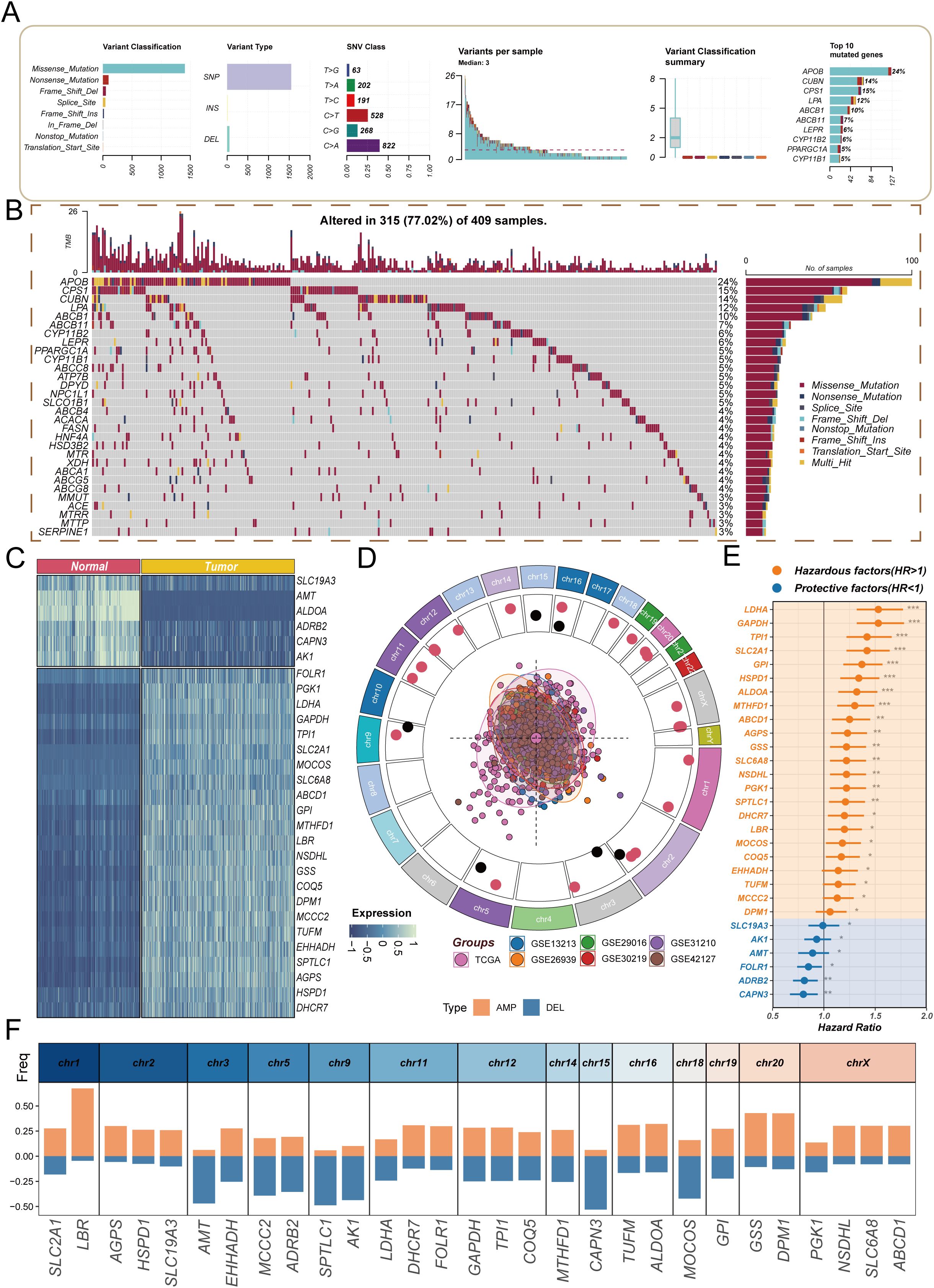 A multi-panel image depicts genetic data analysis. Panel A shows bar and box plots classifying variants, mutation types, and top mutated genes. Panel B displays a heatmap indicating variants in samples. Panel C features a heatmap comparing gene expression in normal and tumor tissue. Panel D presents a circular plot of chromosomal distributions of gene expressions. Panel E includes a forest plot showing hazardous and protective factors with hazard ratios. Panel F depicts bar graphs of gene frequency across chromosomes.
