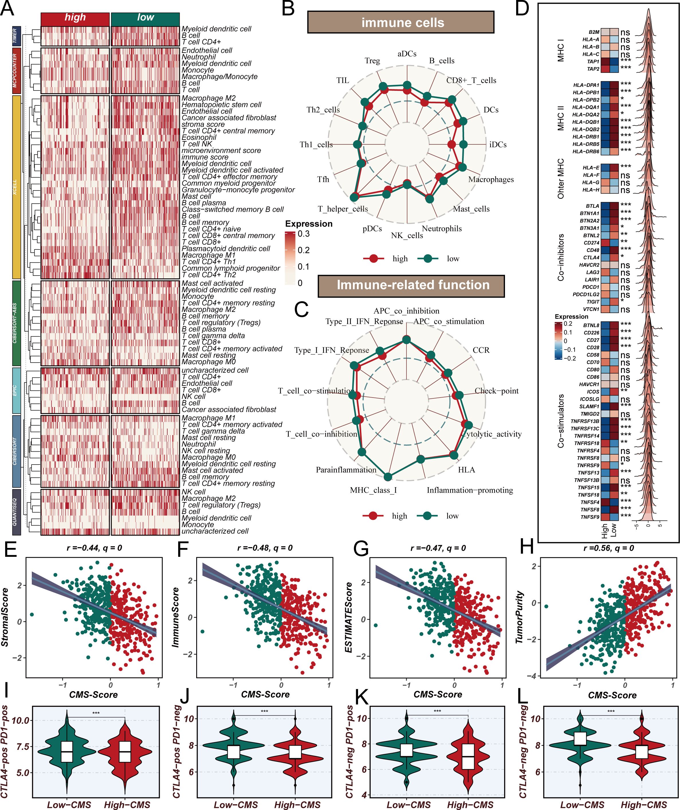 Heatmap (A) showing differential expression of immune-related genes with two color-coded groups. Radar charts (B, C) display expression differences in immune cells and functions. Heatmap (D) compares expression of MHC molecules. Scatter plots (E-H) depict correlations of CMS-Score with StromaScore, ImmuneScore, ESTIMATEScore, and TumorPurity. Violin plots (I-L) illustrate CTLA-4 and PD1 expression in Low-CMS and High-CMS groups, with significance indicated by asterisks.