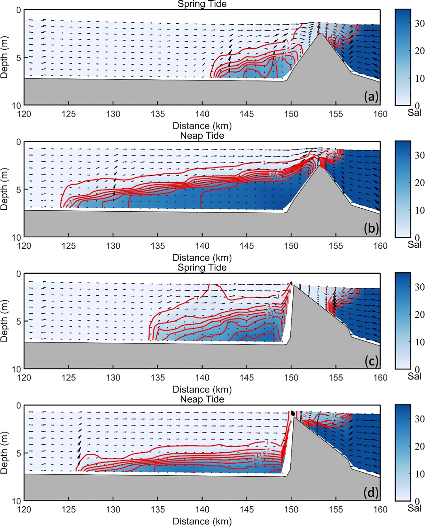 Four panels showing salinity distribution and water flow during spring and neap tides across a cross-section with depth versus distance. Panels (a) and (c) depict spring tides; panels (b) and (d) show neap tides. Color gradient indicates salinity, with arrows showing flow direction. Gray areas represent land.