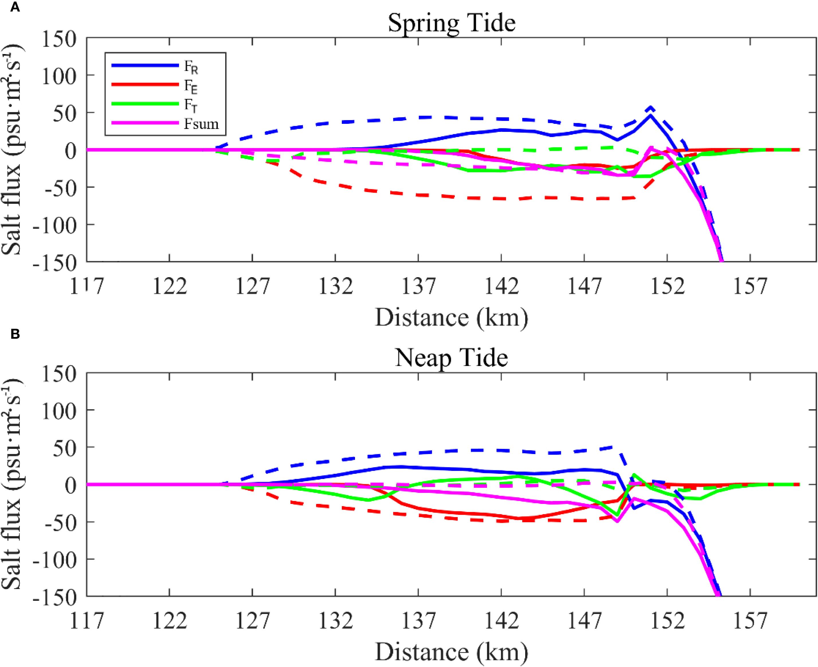 Two line graphs compare salt flux during spring and neap tides along a distance in kilometers. The first graph shows spring tide data, with blue, red, green, and magenta lines representing flux components F_R, F_E, F_T, and F_sum, respectively. The second graph shows neap tide data with similar color coding. Both graphs depict variations in salt flux, with distances ranging from 117 to 157 kilometers and flux values from -150 to 150 psu meter squared per second.